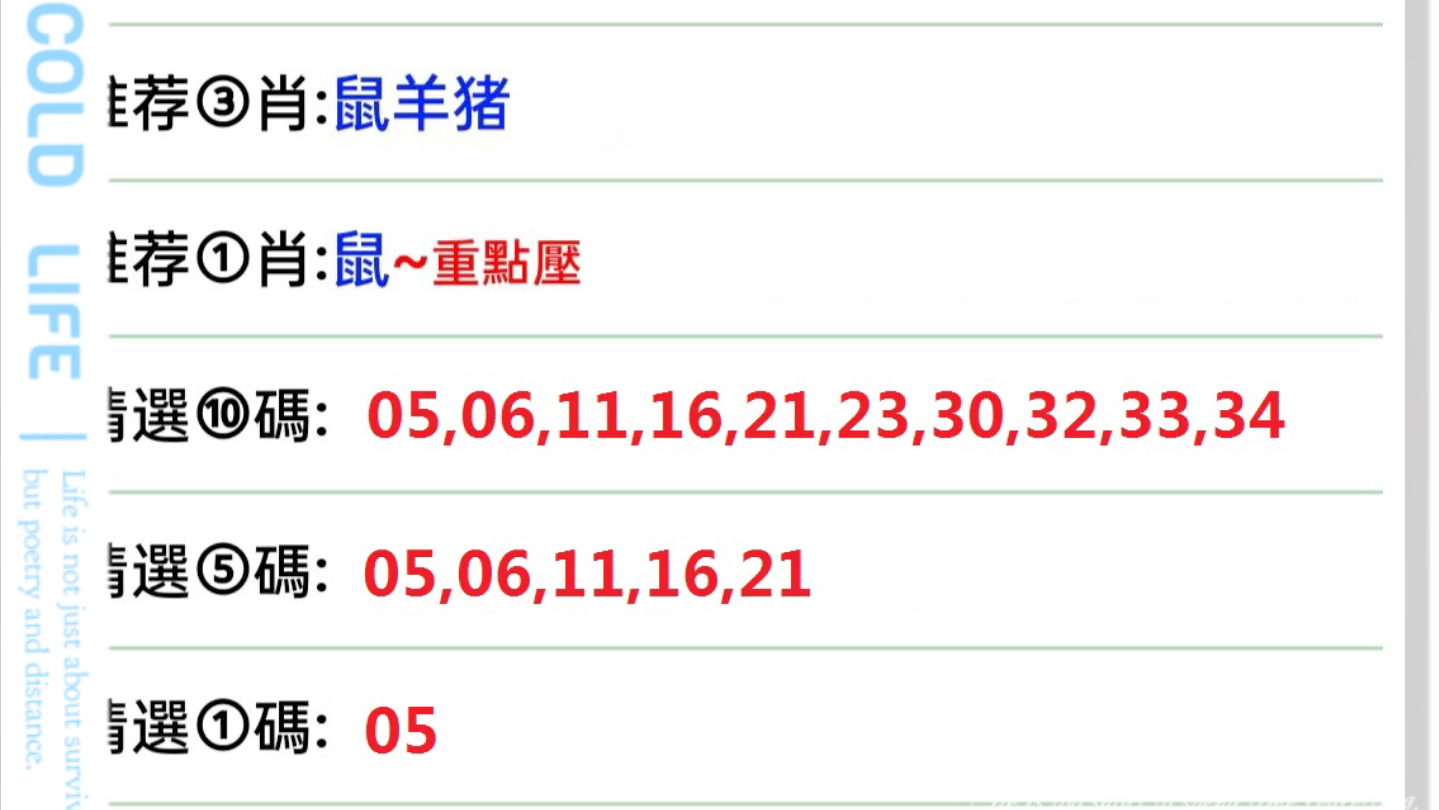 澳门王中王六码新澳门,深度分析解释定义_SHD19.908