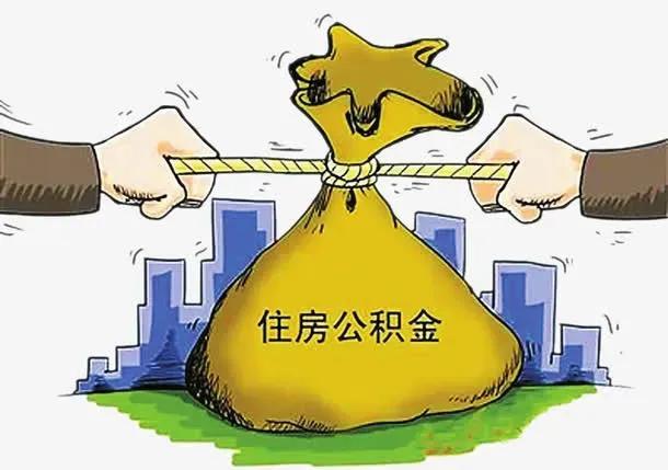 最新养老金改革方案，构建公平可持续的养老保障体系