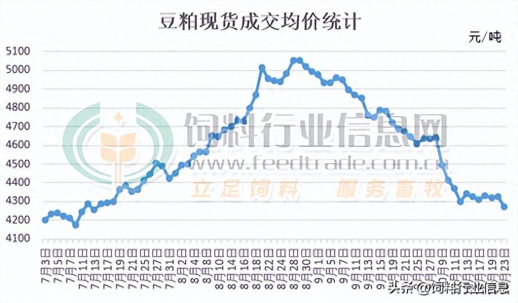 云南豆粕最新价格动态解析